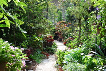 ���傢�����i���V�j�I���W�̒�