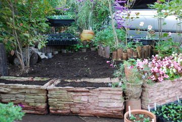 ���傢�����i���V�j�I���W�̒�