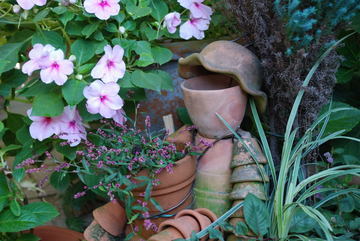 ���傢�����i���V�j�I���W�̒�