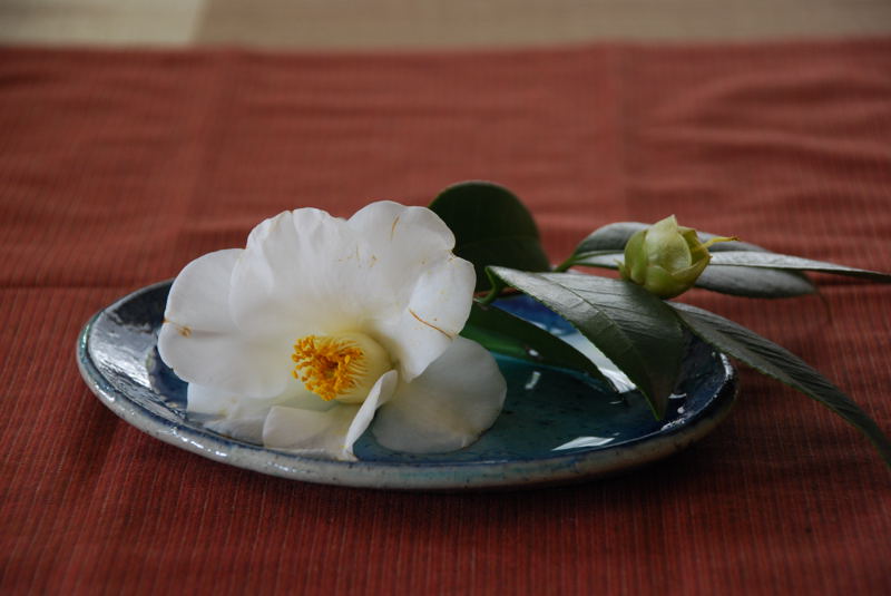 ���傢�����i���V�j�I���W�̒�