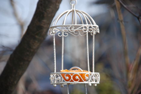 ���傢�����i���V�j�I���W�̒�