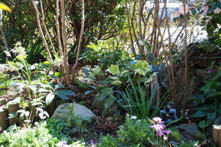 ���傢�����i���V�j�I���W�̒�