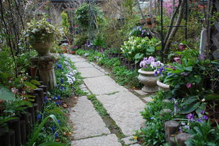 ���傢�����i���V�j�I���W�̒�