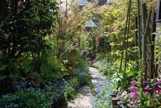 ���傢�����i���V�j�I���W�̒�