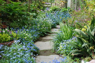 ���傢�����i���V�j�I���W�̒�