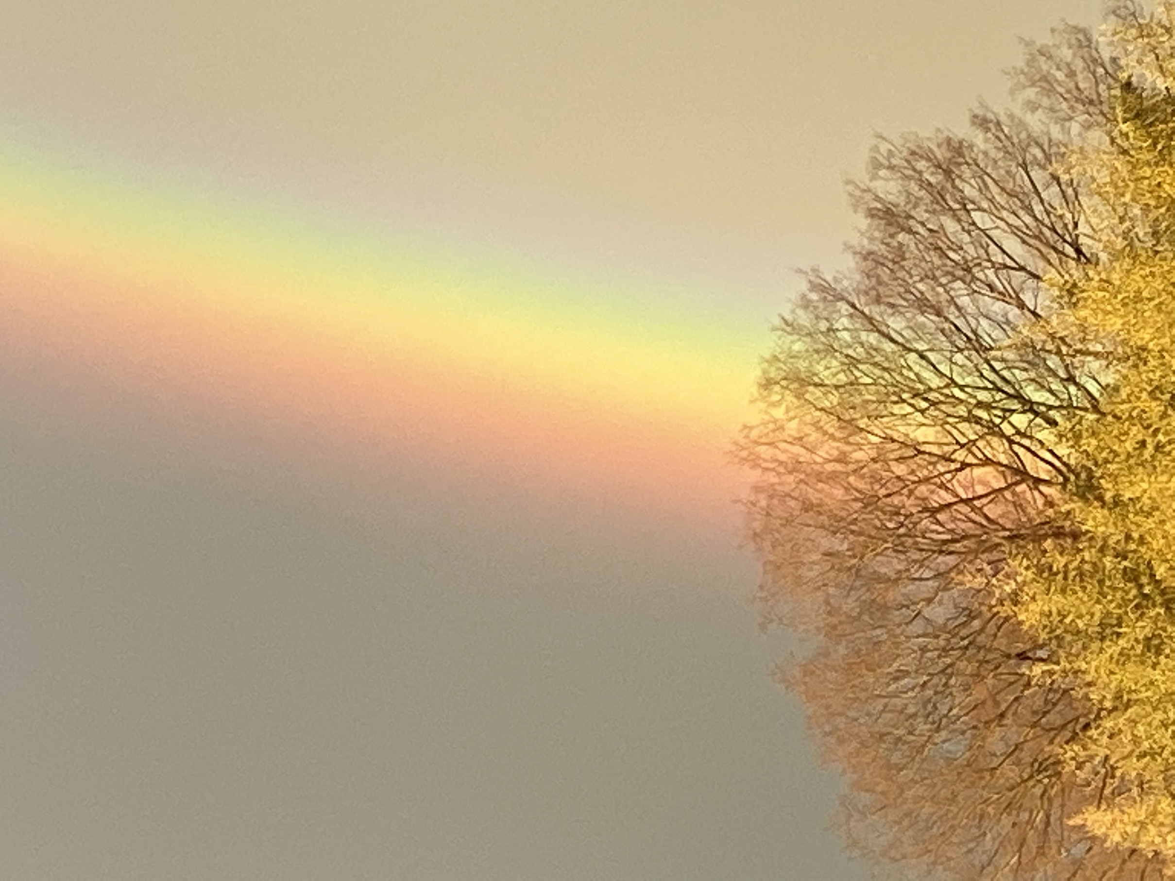 ��M�����N���F��