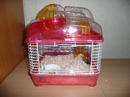 �n���n�����L�B