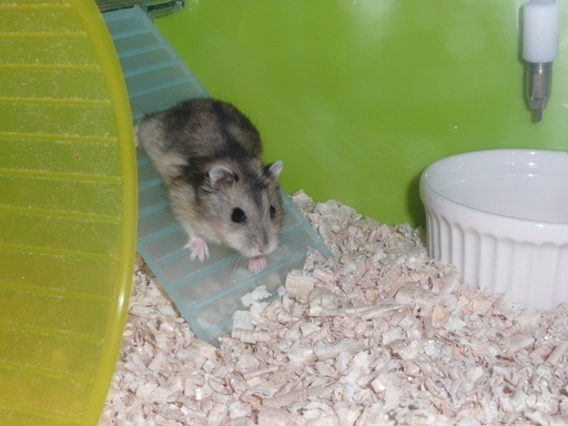 �n���n�����L�B