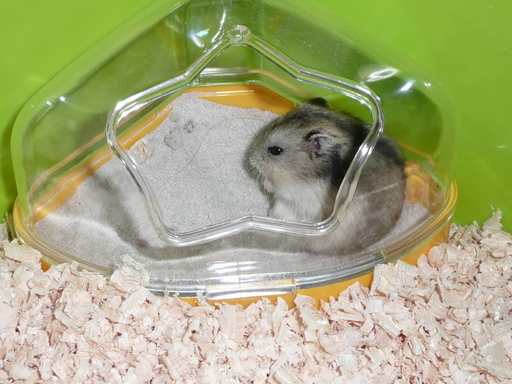 �n���n�����L�B