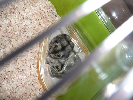 �n���n�����L�B