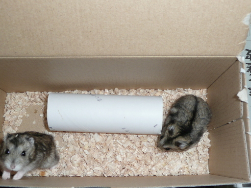 �n���n�����L�B