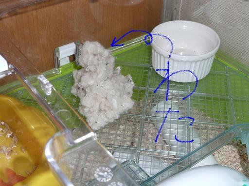 �n���n�����L�B