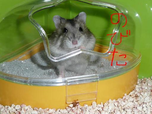 �n���n�����L�B