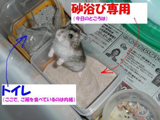 �n���n�����L�B