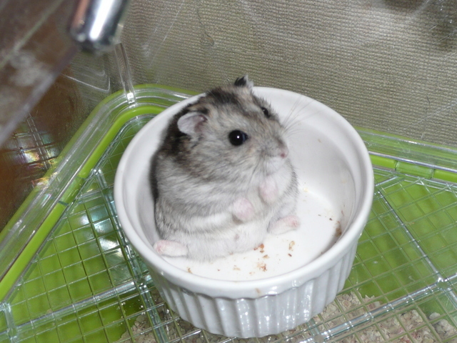 �n���n�����L�B