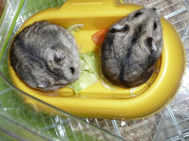 �n���n�����L�B