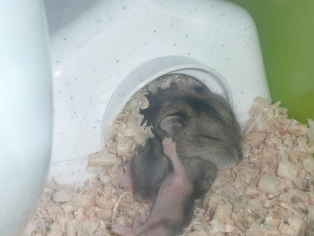 �n���n�����L�B