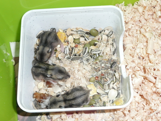 �n���n�����L�B