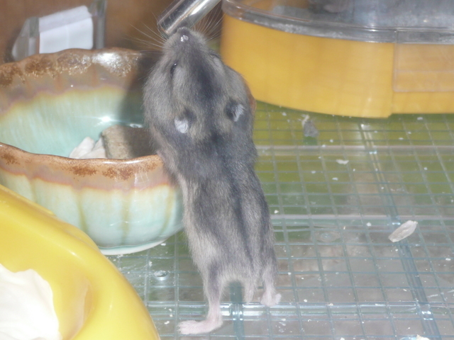 �n���n�����L�B