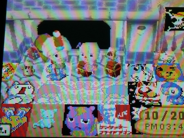 �n���n�����L�B