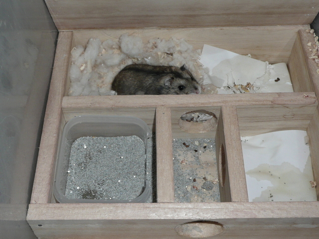 �n���n�����L�B