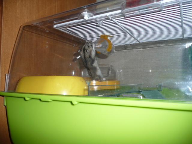 �n���n�����L�B