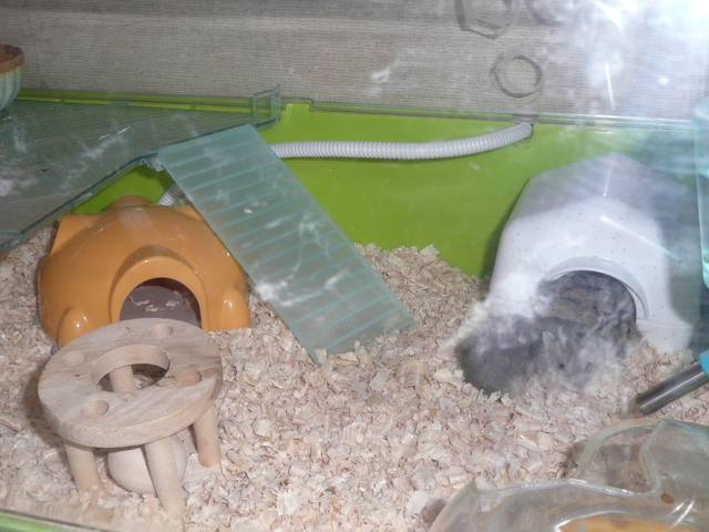 �n���n�����L�B