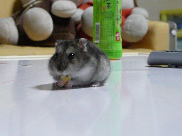 �n���n�����L�B