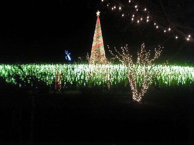 �n���n�����L�B