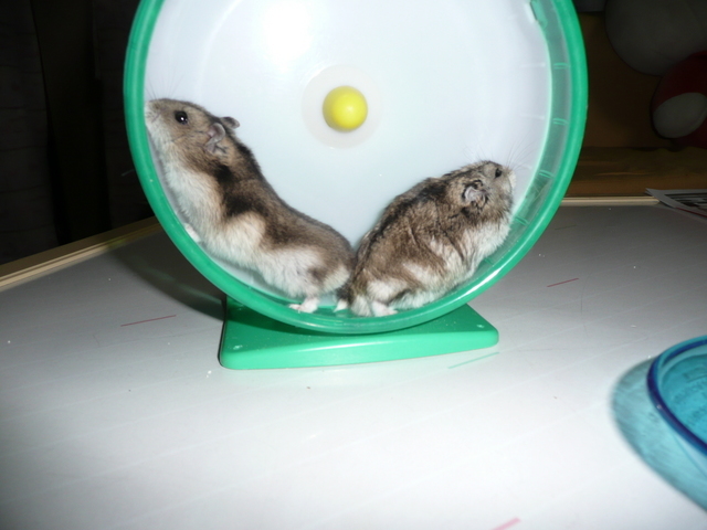 �n���n�����L�B