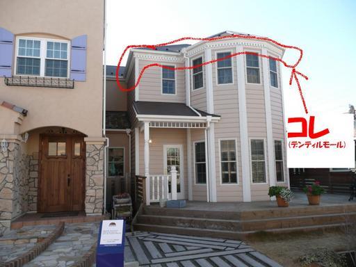 �n���n�����L�B