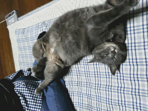 �n���n�����L�B