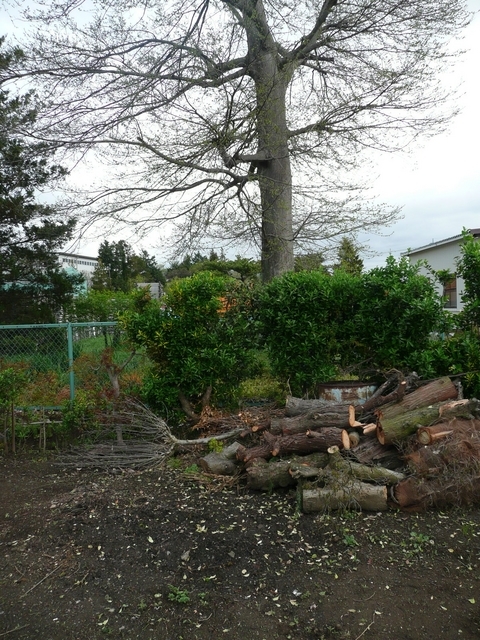 �n���n�����L�B