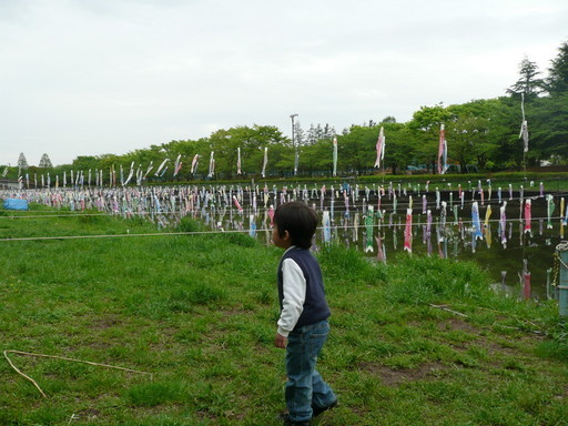 �n���n�����L�B