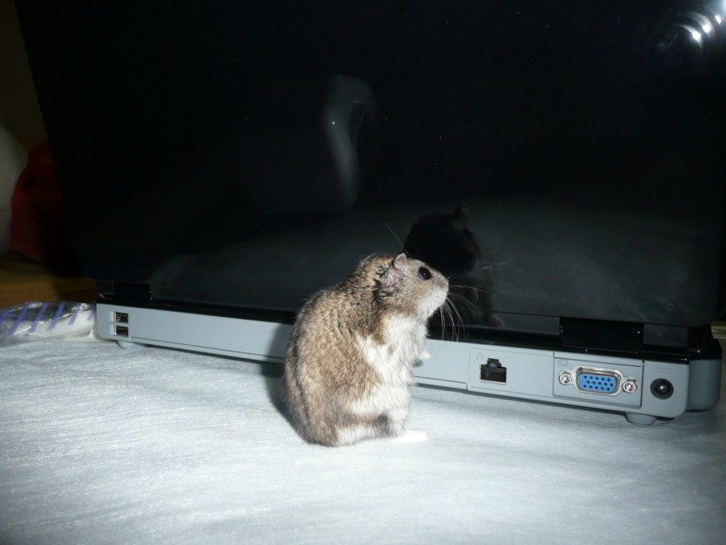 �n���n�����L�B