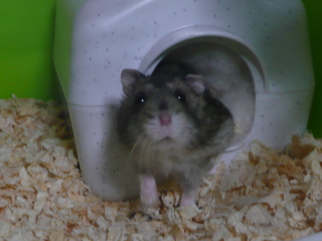 �n���n�����L�B