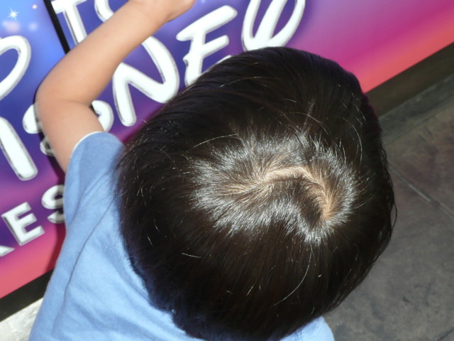 �n���n�����L�B