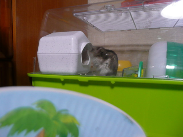 �n���n�����L�B