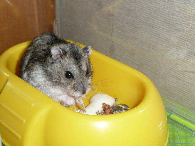 �n���n�����L�B