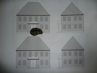 �n���n�����L�B