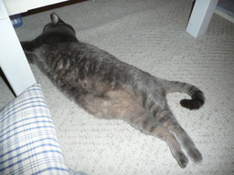 �n���n�����L�B