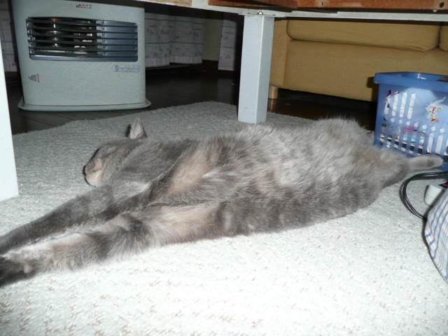 �n���n�����L�B