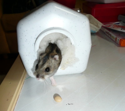 �n���n�����L�B