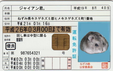 �n���n�����L�B