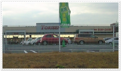 �n���n�����L�B