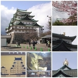 �n���n�����L�B