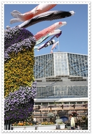 �n���n�����L�B