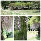 �n���n�����L�B