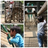 �n���n�����L�B