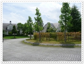 �n���n�����L�B